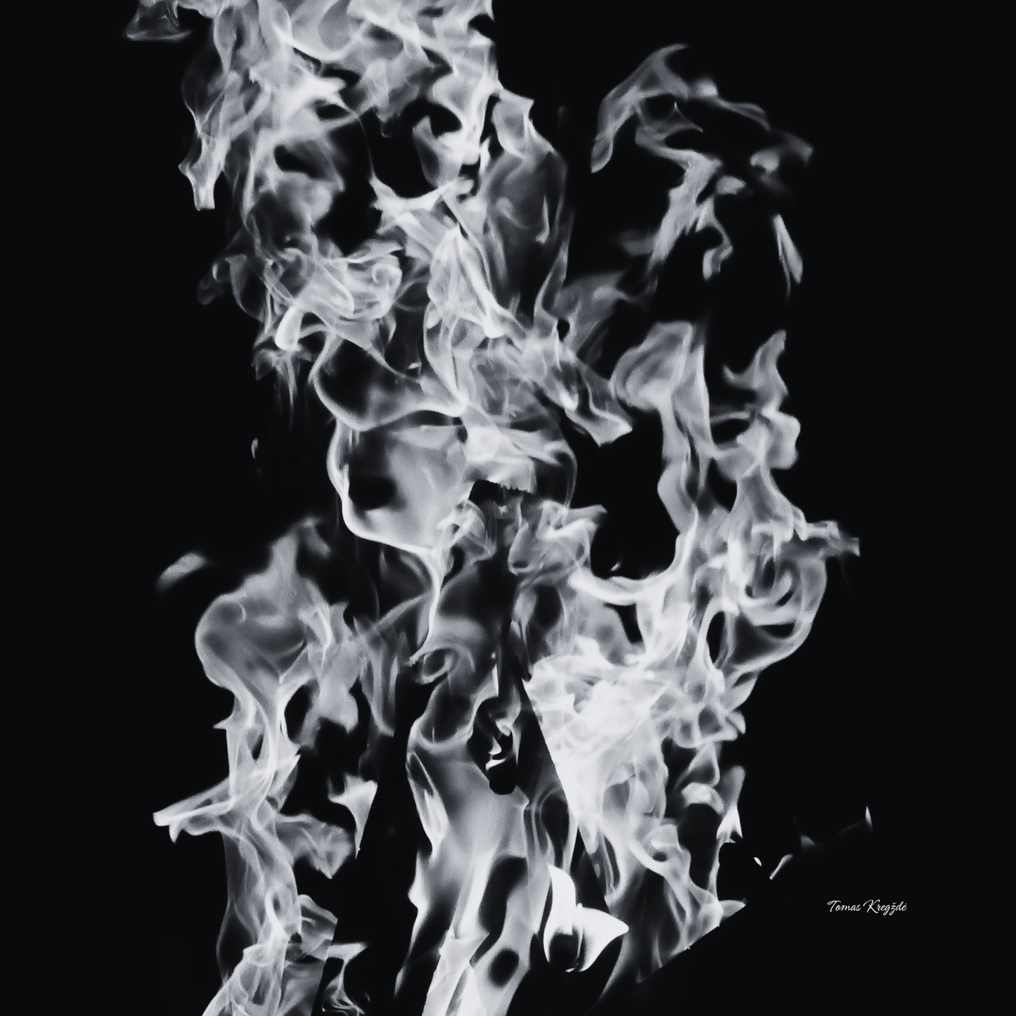 BELLUM, CRUCIATIO ET DOLOR