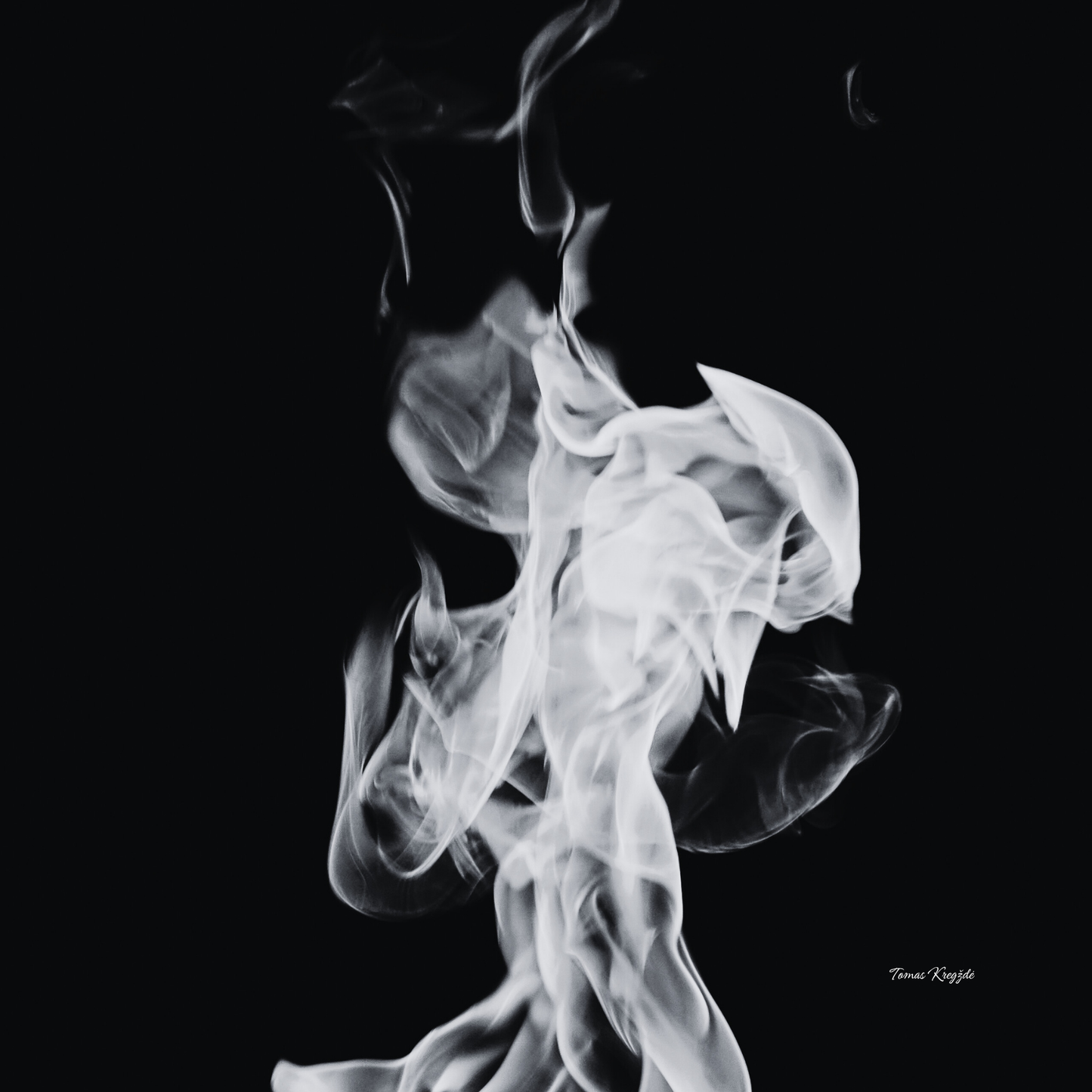 BELLUM, CRUCIATIO ET DOLOR